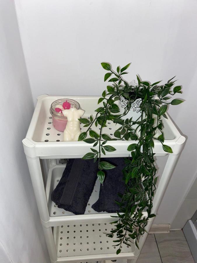 Apartament Grunwaldzka 비드고슈치 외부 사진
